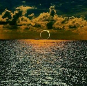 Meet your Posher, Melvin